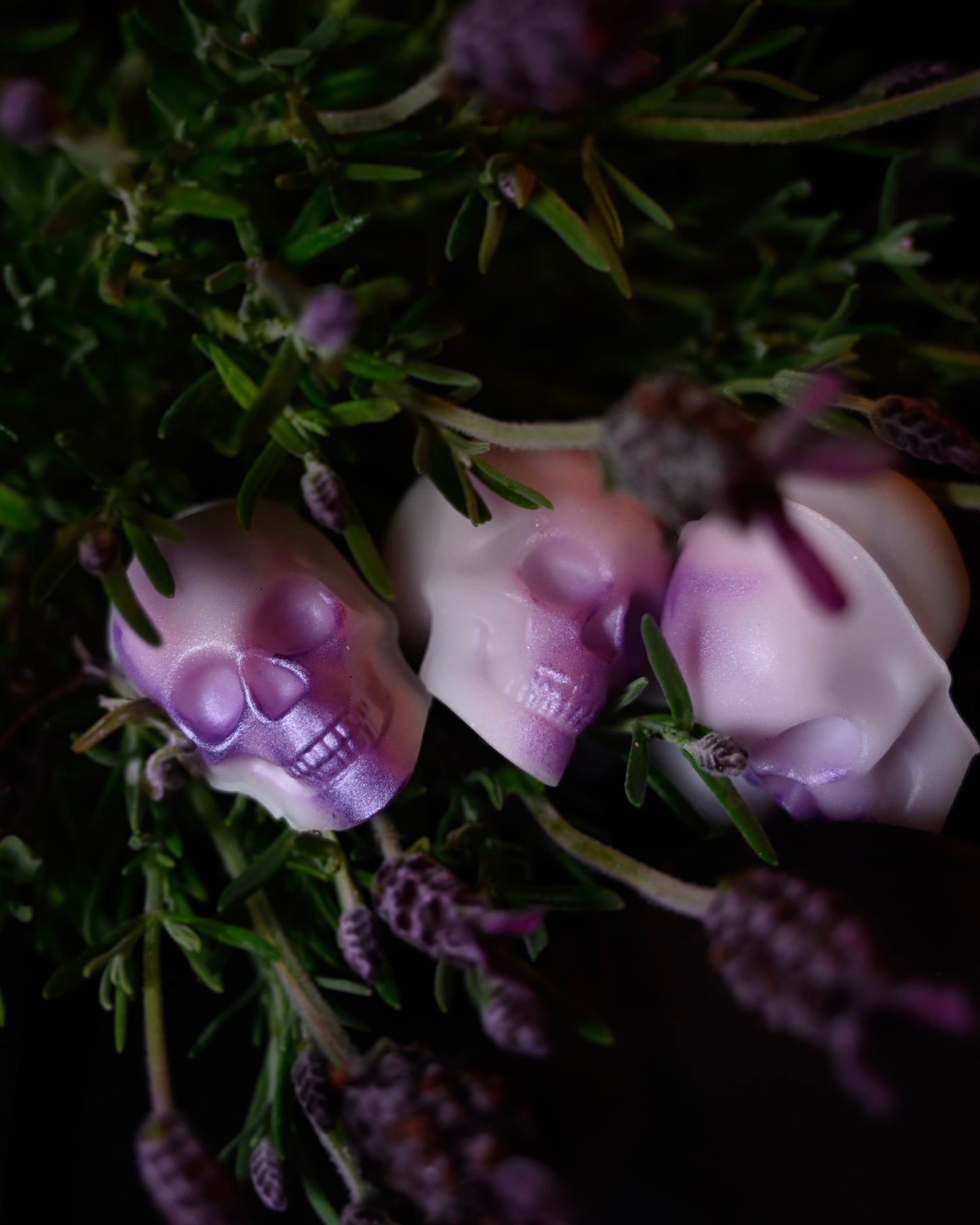 Madam Lavender Skull Wax Melts