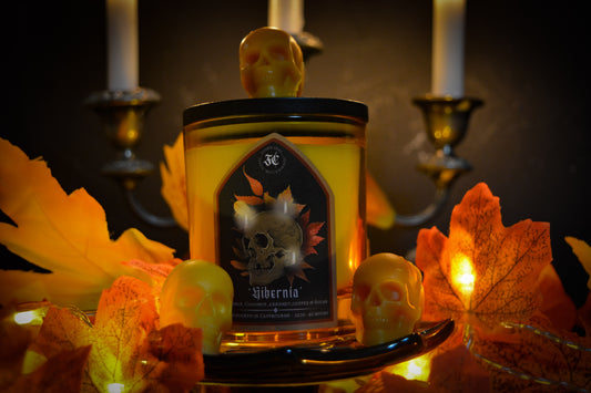 ‘Hibernia’ Candle and Melt Bundle