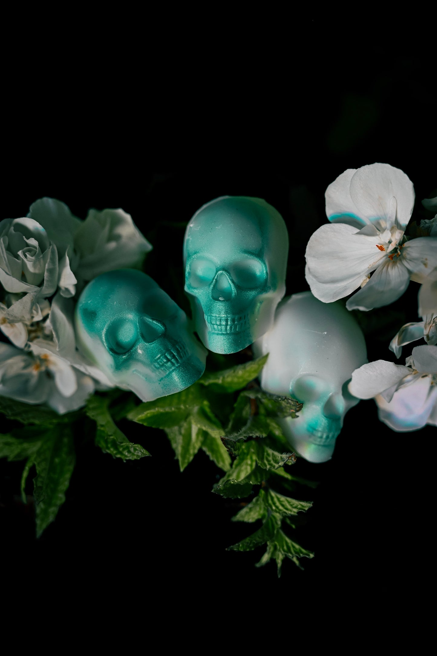 Lady Geranium Skull Wax Melts